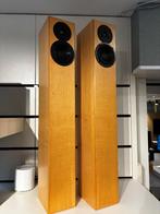 Totem Arro, Gebruikt, 60 tot 120 watt, Front, Rear of Stereo speakers, Ophalen