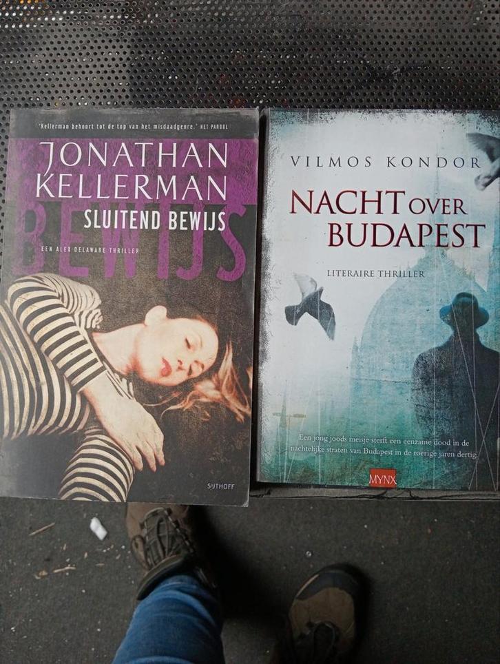 2 Boeken(61), Boeken, Thrillers, Zo goed als nieuw, Ophalen of Verzenden