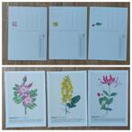 3 kaarten Egelantierroos Koolzaad Kamperfoelie, Ophalen of Verzenden, Nieuw