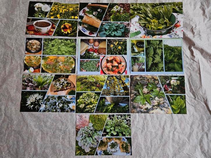 Anneke Bleeker Ansichtkaarten set A, Verzamelen, Ansichtkaarten | Themakaarten, 1980 tot heden, Natuur, Ophalen of Verzenden