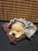 Decoratieve hond beeldje, Ophalen of Verzenden, Nieuw, Dier