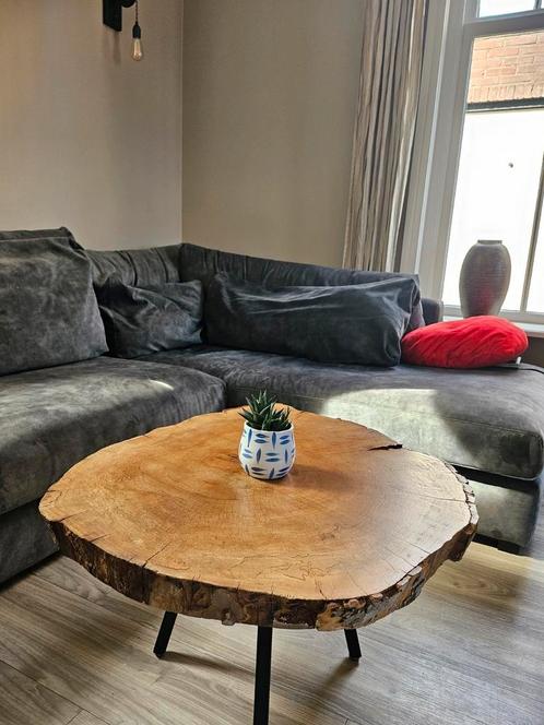 Boomstamschijf Plataan onbehandeld, Huis en Inrichting, Tafels | Salontafels, Zo goed als nieuw, 50 tot 100 cm, 50 tot 100 cm