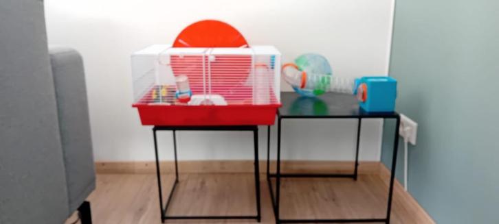 compleet:2 hamsterkooien, gym behoren, buizen +gratis tafels, Dieren en Toebehoren, Knaagdieren en Konijnen | Hokken en Kooien