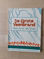 De grote veenbrand - Anne de Vries, Boeken, Kinderboeken | Jeugd | onder 10 jaar, Ophalen of Verzenden