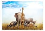 Jungledieren behang Wildlife of Africa, Jungle behang, giraf, Verzenden, Minder dan 10 m², Jungle dieren, Afrika