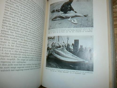 walvisschen en walvischvaart oude fotos van de vangst 1946, Antiek en Kunst, Antiek | Boeken en Bijbels, Ophalen of Verzenden