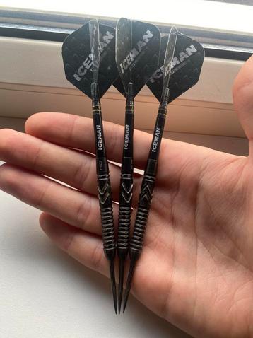 Dartpijlen Gerwyn Price 24 gram beschikbaar voor biedingen
