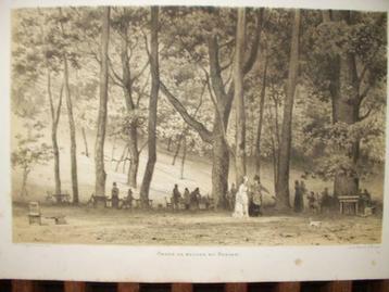 55 / Bergen Onder de Beuken bij Bergen Litho 1876 beschikbaar voor biedingen