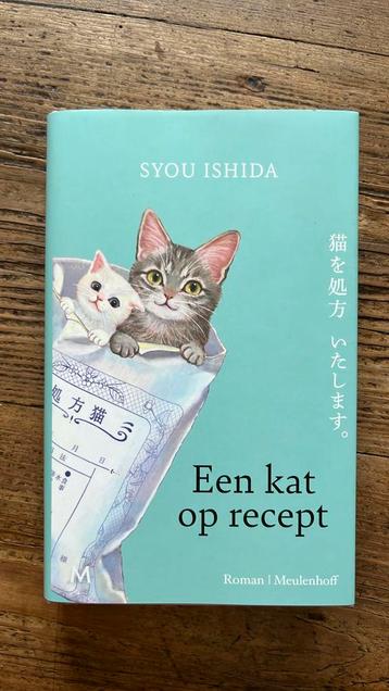 Een kat op recept - Syou Ishida beschikbaar voor biedingen