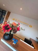 Oud gebakken bestrating? Natuursteen? Of betonbestrating?, Tuin en Terras, Ophalen of Verzenden, Nieuw, Natuursteen, Klinkers