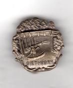 BROCHE GIETHOORN PUNTER ONDER HOGE BRUG (A2), Verzenden, Zo goed als nieuw, Overige onderwerpen