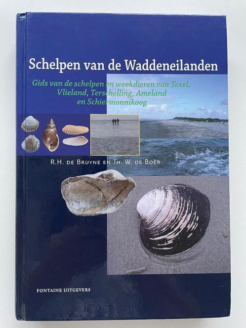 Schelpen van de waddeneilanden, Boeken, Natuur, Zo goed als nieuw, Natuur algemeen, Verzenden