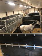 Concoursboxen 6x3 meter, Dieren en Toebehoren, Stalling en Weidegang, Stalling, 2 of 3 paarden of pony's