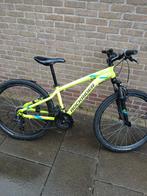 Rockrider ST100 24 inch, Gebruikt, Hardtail, Heren, Ophalen of Verzenden