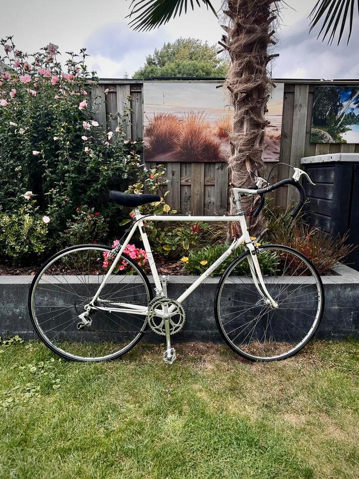 Vintage Raleigh Racefiets - Opknapper, Fietsen en Brommers, Fietsen | Racefietsen, Gebruikt, Heren, Overige merken, Minder dan 10 versnellingen
