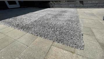 Vloerkleed excellent shaggy - 50 euro beschikbaar voor biedingen