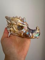 Aura Sfaleriet Drakenkop Geel, Verzamelen, Mineralen en Fossielen, Ophalen of Verzenden, Mineraal