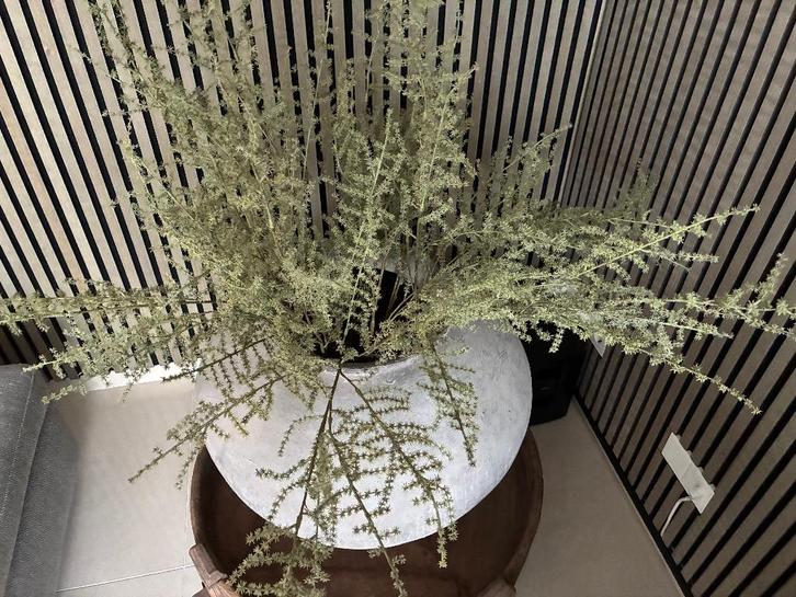 wilde asparagus kunsttakken; 10 stuks voor totaal € 75, Huis en Inrichting, Woonaccessoires | Kunstplanten en Kunstbloemen, Nieuw