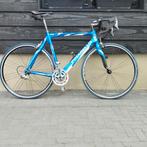 Carbon 53cm pinarello campagnollo velgen, Overige merken, Carbon, Ophalen of Verzenden, Zo goed als nieuw
