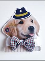 Leuke honden huisdieren strikje, Dieren en Toebehoren, Ophalen of Verzenden, Nieuw, Overige hondenkleding