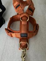 Hondentuig en lijn Kentucky, Dieren en Toebehoren, Ophalen of Verzenden, Zo goed als nieuw