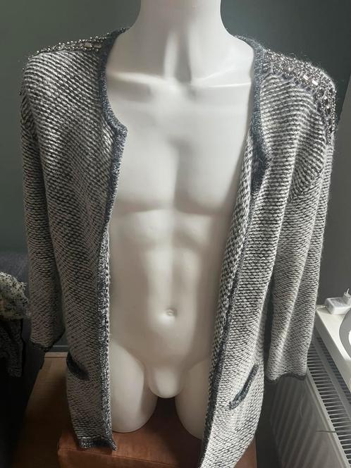 Grijs wit vest L met steentjes en kralen vesten cardigan, Kleding | Dames, Truien en Vesten, Zo goed als nieuw, Maat 42/44 (L)