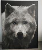 Canvas wolf schilderij 60x80, Schilderij, Ophalen of Verzenden, Zo goed als nieuw, 50 tot 75 cm