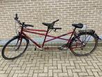 Nette sportieve tandem, Gebruikt, Schauff, 51 tot 55 cm, Meer dan 20 versnellingen