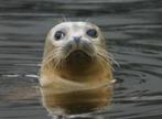 30% korting op entree Aqua Zoo Leeuwarden (max. 4 pers.), Drie personen of meer, Kortingskaart