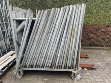 Steigerbokken beschikbaar voor biedingen
