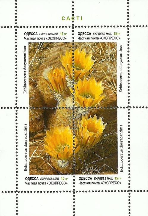 CACTUSSEN = mooi doorl.bl.v UKRAINE-ODESSA-cac46, Postzegels en Munten, Postzegels | Thematische zegels, Postfris, Dier of Natuur