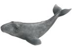 Schleich 16094 grijze walvis kalf, dierfiguur, Ophalen of Verzenden, Gebruikt, Overige soorten, Beeldje of Figuurtje