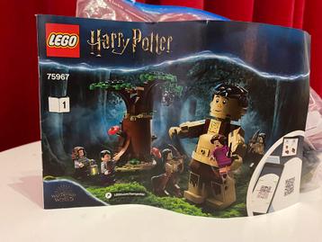 “Het verboden bos” Harry Potter Lego set 75967