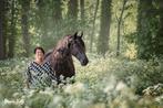 Coaching met paarden, Diensten en Vakmensen