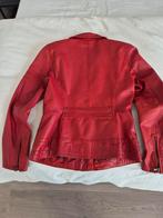 Rood leren jasje, Ophalen of Verzenden, Zo goed als nieuw