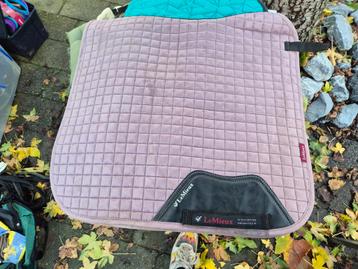 Lemieux dresuur dekje musk beschikbaar voor biedingen