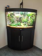 Juwel hoekaquarium 190 liter, Dieren en Toebehoren, Vissen | Aquaria en Toebehoren, Ophalen, Gebruikt, Gevuld zoetwateraquarium