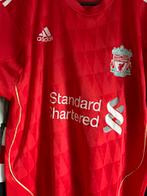 Liverpool shirt Torres M, Sport en Fitness, Voetbal, Ophalen of Verzenden, Zo goed als nieuw, Shirt