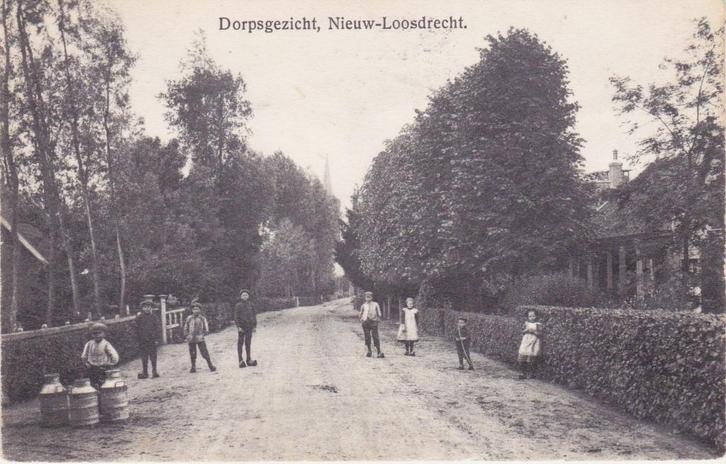 NIEUW - LOOSDRECHT DORPSGEZICHT, Verzamelen, Ansichtkaarten | Nederland, Noord-Brabant, Voor 1920, Verzenden