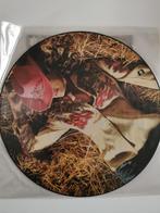 Picture Disc Madonna - Music, Cd's en Dvd's, Vinyl | Pop, Ophalen of Verzenden, 1980 tot 2000, Nieuw in verpakking