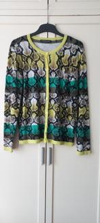 Roberto Sarto vest maat 42 zgan, Maat 42/44 (L), Ophalen of Verzenden, Zo goed als nieuw, Roberto Sarto