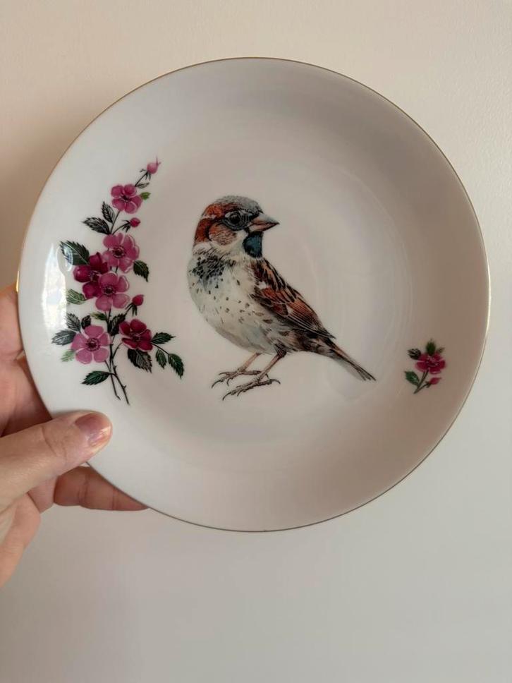 Vintage gemerkt botanisch bloemen bord afbeelding mus, Antiek en Kunst, Antiek | Wandborden en Tegels, Ophalen of Verzenden