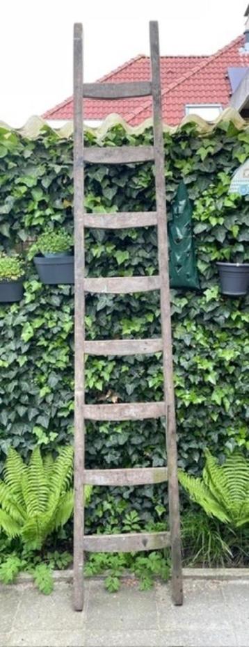 Houten ladder beschikbaar voor biedingen