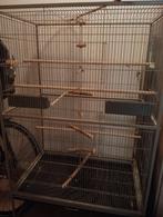 Grote vogelkooi papegaaien parkieten valkparkiet, Ophalen, Zo goed als nieuw, Metaal, Vogelkooi