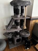 Gratis cat tree, Ophalen
