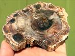 Versteend hout schijf plak dubbel gepolijst mineralen, Ophalen of Verzenden, Mineraal