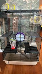 Hamsterhok, Dieren en Toebehoren, Gebruikt, Minder dan 75 cm, Hok, Ophalen