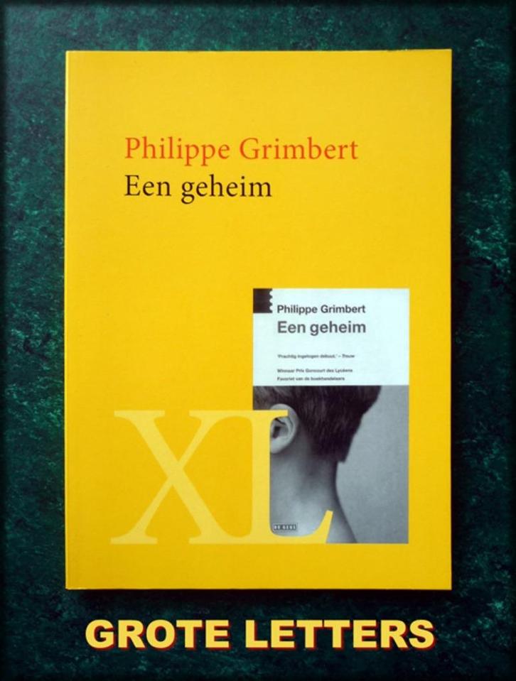 EEN GEHEIM - Philippe Grimbert - BOEK MET GROTE LETTERS Groo, Boeken, Literatuur, Zo goed als nieuw, Nederland, Verzenden