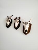 Set van 3 x vintage decoratie klein gewei schedel op schild, Antiek en Kunst, Ophalen of Verzenden