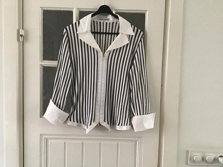 Alma Mater feestelijke blouse met ritssluiting, Kleding | Dames, Blouses en Tunieken, Gedragen, Maat 42/44 (L), Overige kleuren